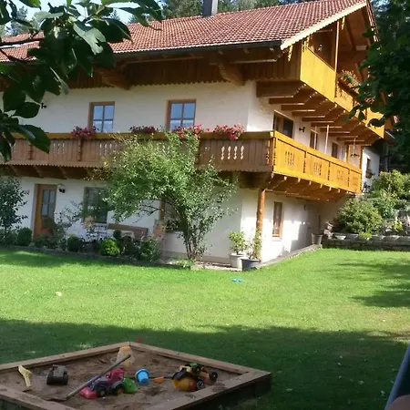 Steinbeisser