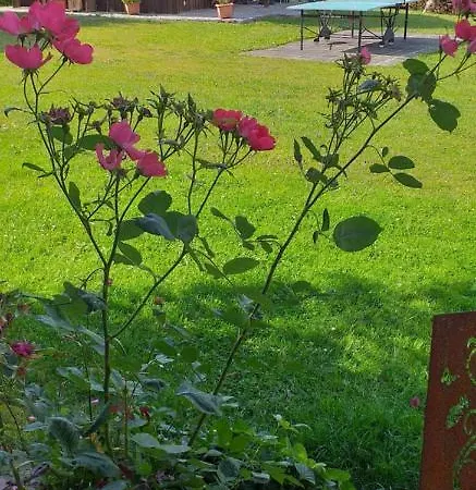 Steinbeisser *