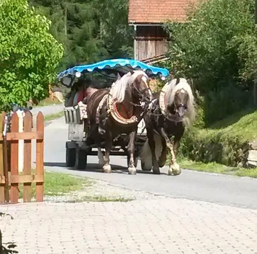 Steinbeisser