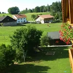 Steinbeisser