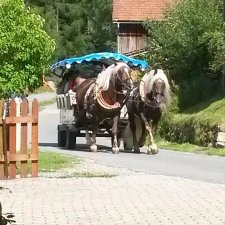 Steinbeisser