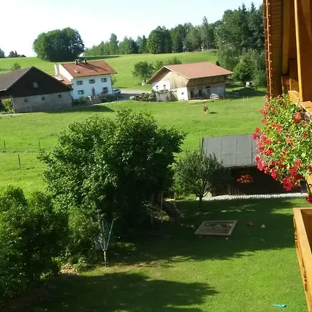 Steinbeisser